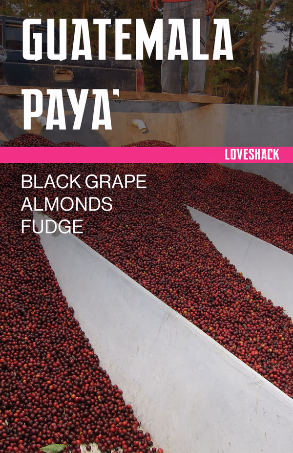Guatemala Paya’