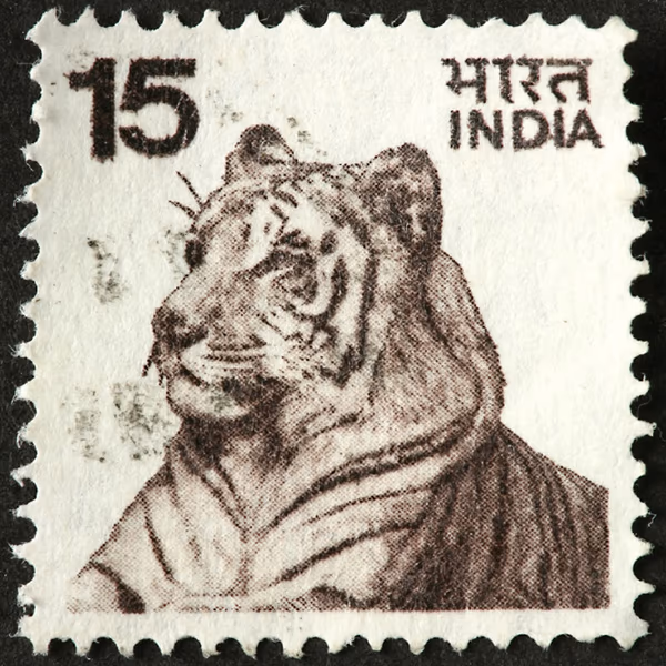 Tiger Stripes