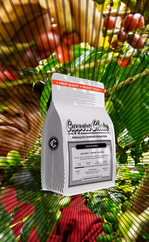Aquiares | Thermic "Churro" Natual | Costa Rica