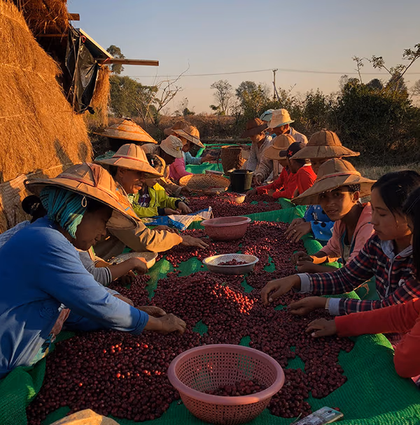 Myin Kya Doe Natural, Myanmar