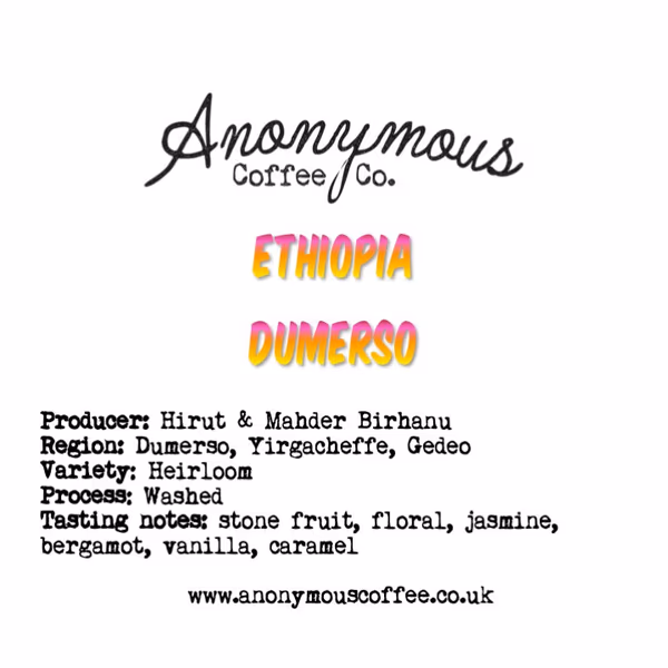 Ethiopia, Dumerso, Washed