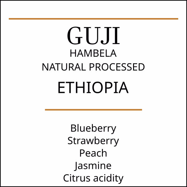 Ethiopia Guji Hambela | Natural Process