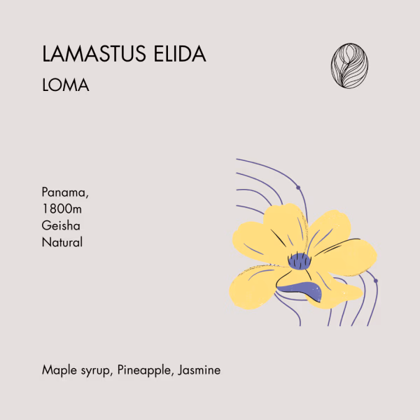 LAMASTUS ELIDA • LOMA – Natural Geisha 50g
