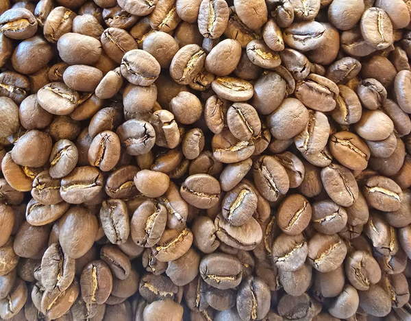 Kenya AA Plus