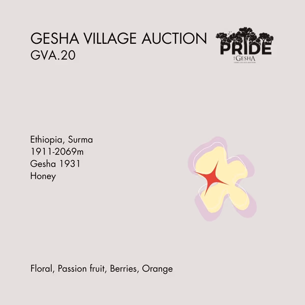 Gesha Village Auction GVA.20 — Surma Gesha 1931 Honey