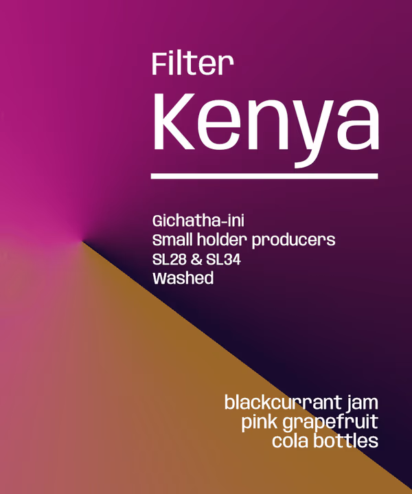 Kenya Gichatha-ini AA - Filter