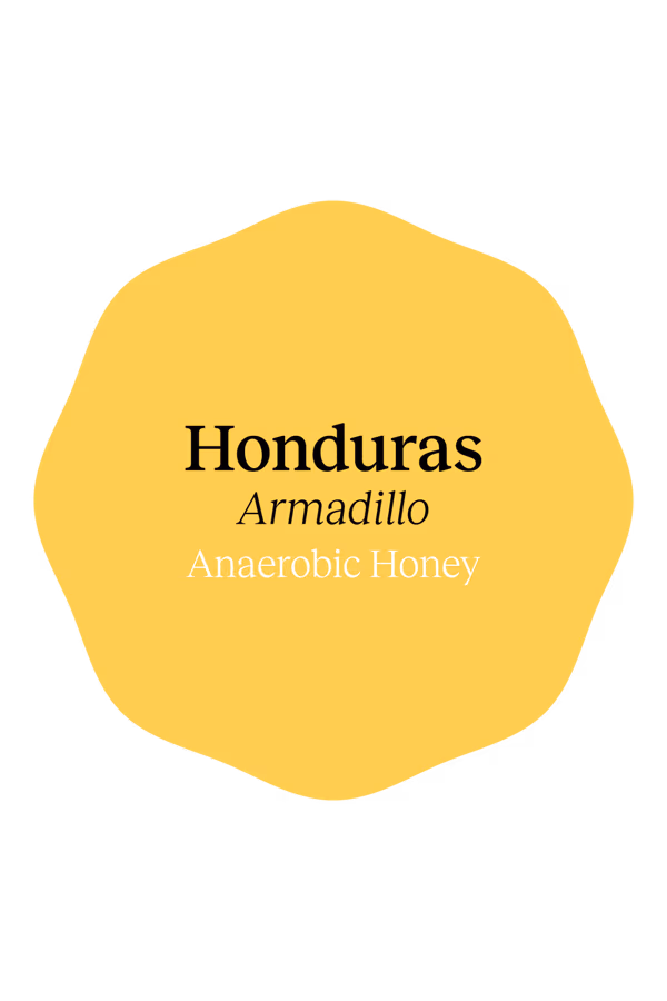Honduras Armadillo Anaerobic Honey