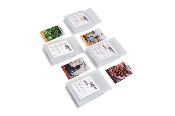 Filter Tasting Pack