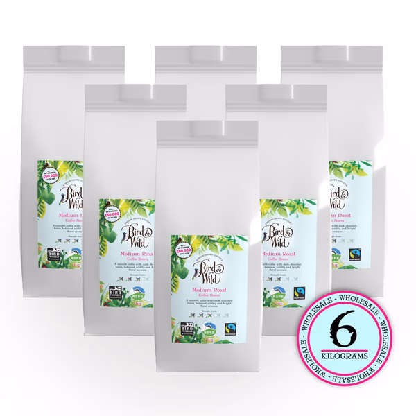 Medium Roast Organic Coffee Beans - 6x1kg