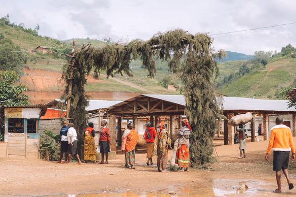 Burundi Bumba Hill Natural