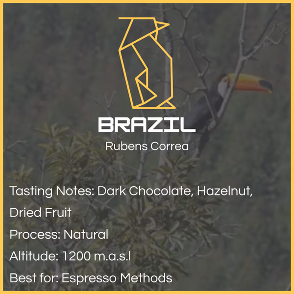 Brazil - Rubens Correa