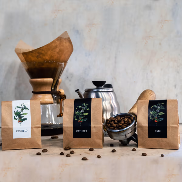 Tasting Kit