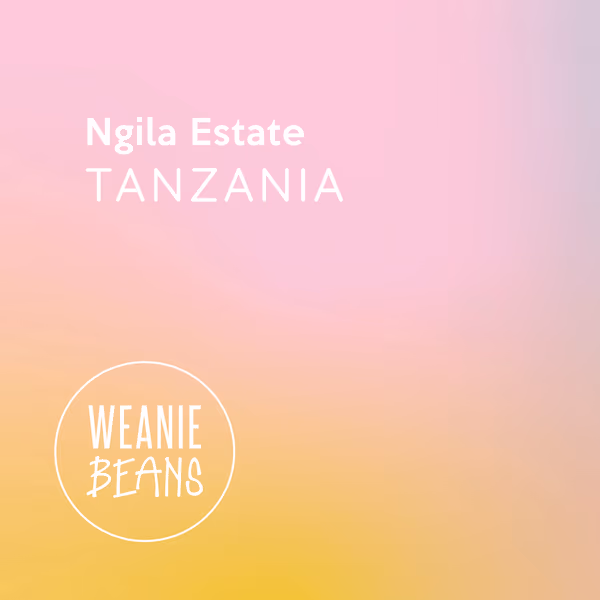 Tanzania, Ngila Estate