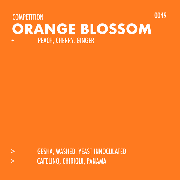 ORANGE BLOSSOM