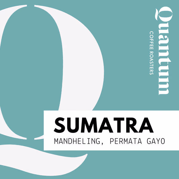 SUMATRA (Indonesia) - Mandheling, Permata Gayo