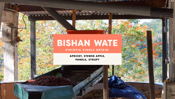 Bishan Wate
