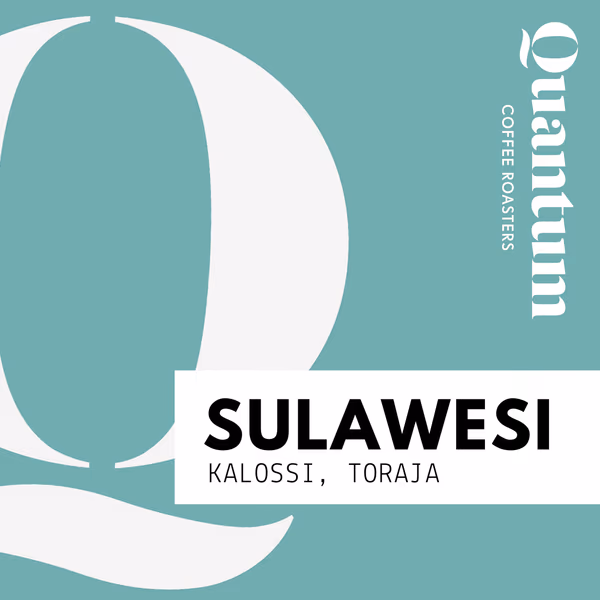 SULAWESI (Indonesia) - Toraja, Kalossi