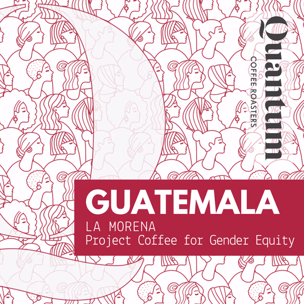 Guatemala - La Morena - Project Coffee for Gender Equity (Women Producers)
