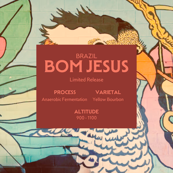 BOM JESUS