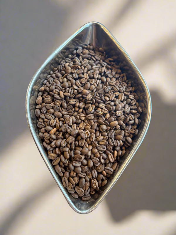 BLUE SUMATRA - Mandheling 'Permata Gayo'