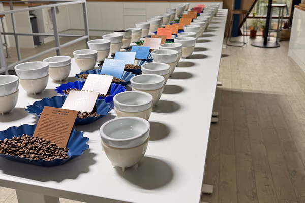 Public Cupping Session (WoC version) - Saturday 25th July at 11am