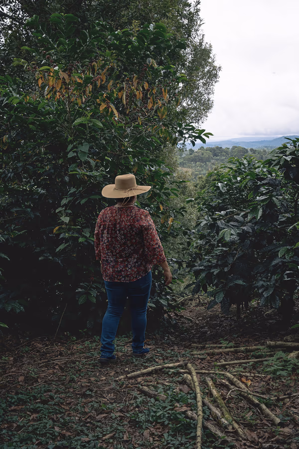 TNT Coffee Lab x Talamanca - Koji · Geisha