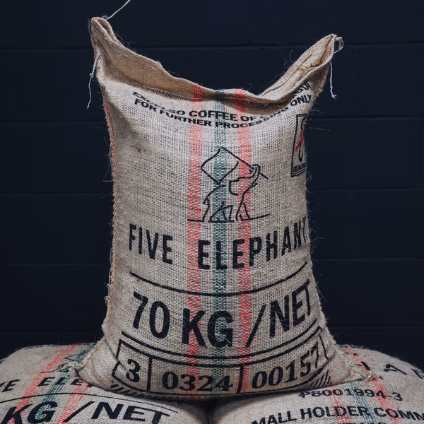 Colombian Excelso EP Green Coffee Beans