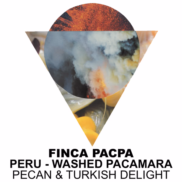 Finca Pacpa