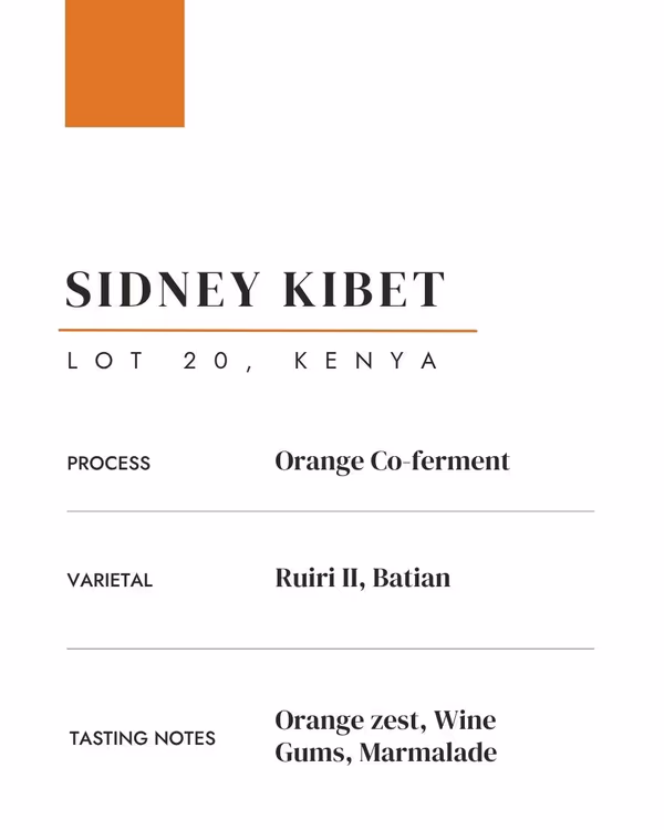 Sidney Kibet: Kenya • Lot 20 • Orange Co-Ferment