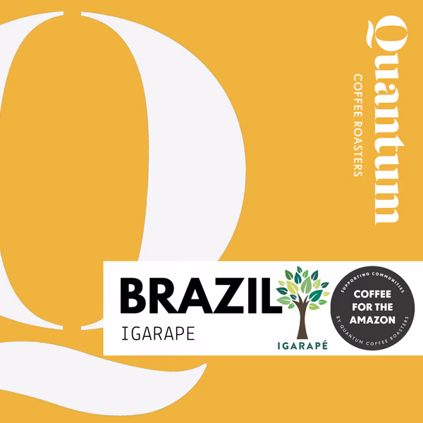 BRAZIL - IGARAPE - AMAZON RAINFOREST