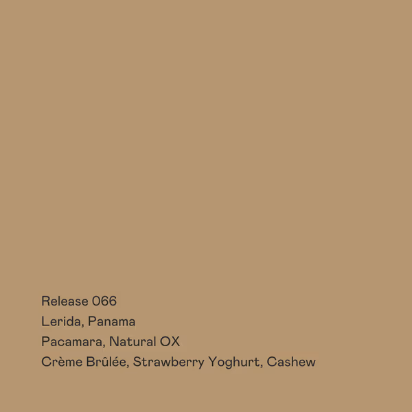 Release 066 - Lerida, Pacamara, Natural OX
