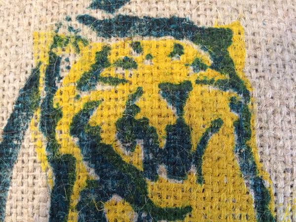Indian Tiger Paws