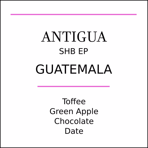 Guatemala Antigua Medium Roast