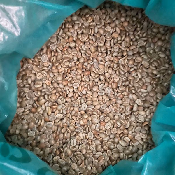 Kenya AA Mount Kenya Green Coffee Beans