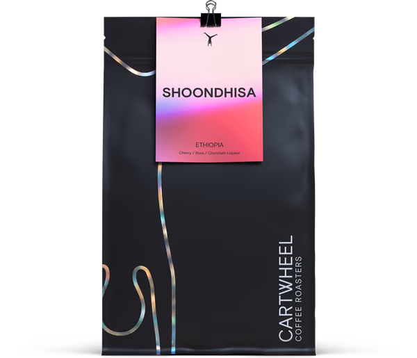 Shoondhisa