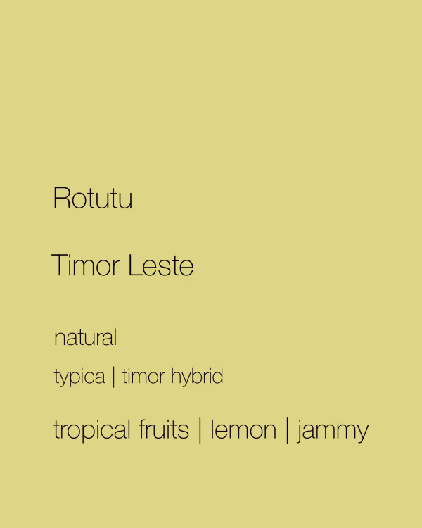Rotutu Cooperative | Timor Leste | Natural | Organic