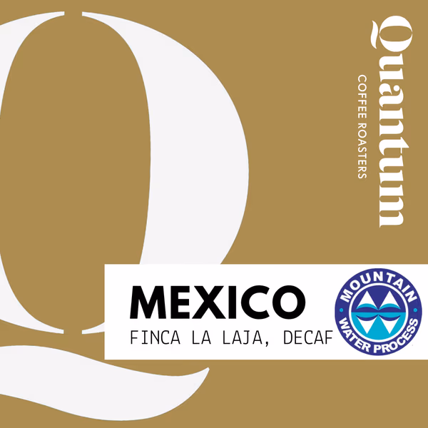 MEXICO FINCA LA LAJA DECAF, Mountain Water Process