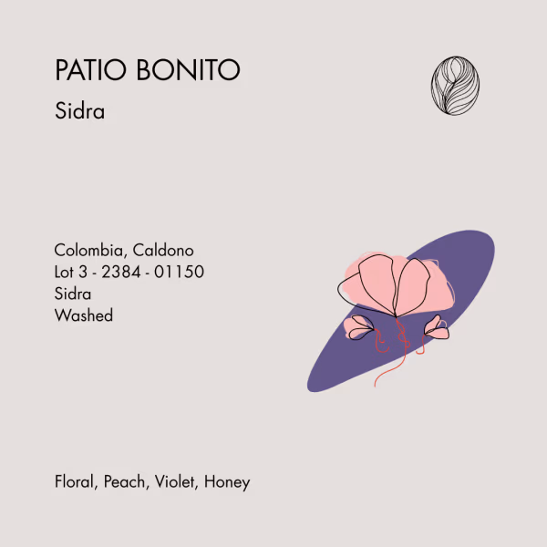 PATIO BONITO • Sidra Washed