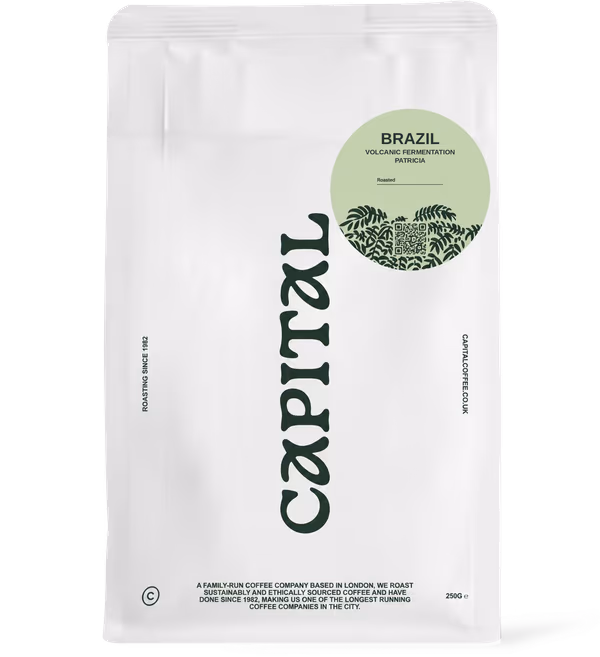 Brazil Volcanic Fermentation Patricia