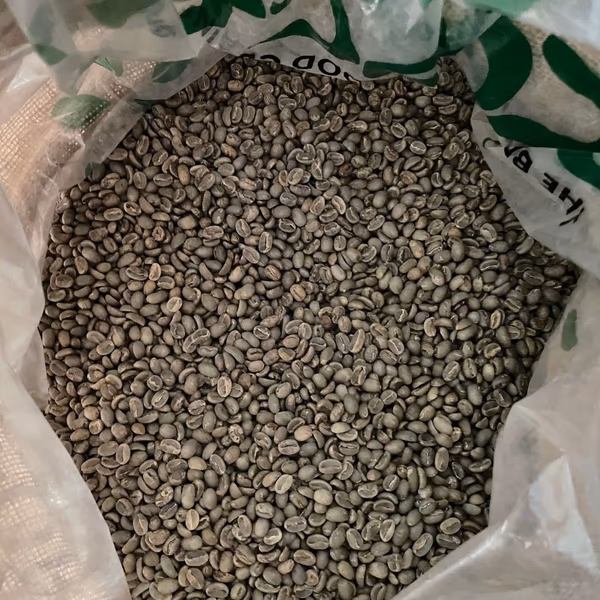 Timor Leste Green Coffee Beans