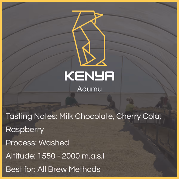 Kenya - Adumu