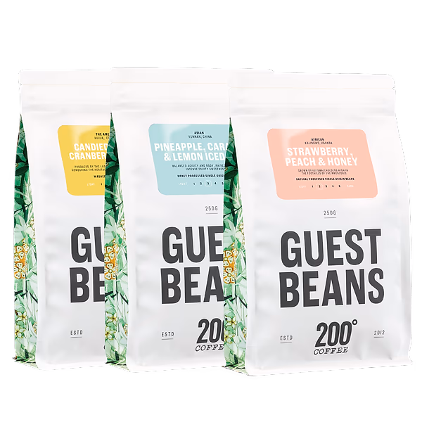 Discovery Coffee Trio