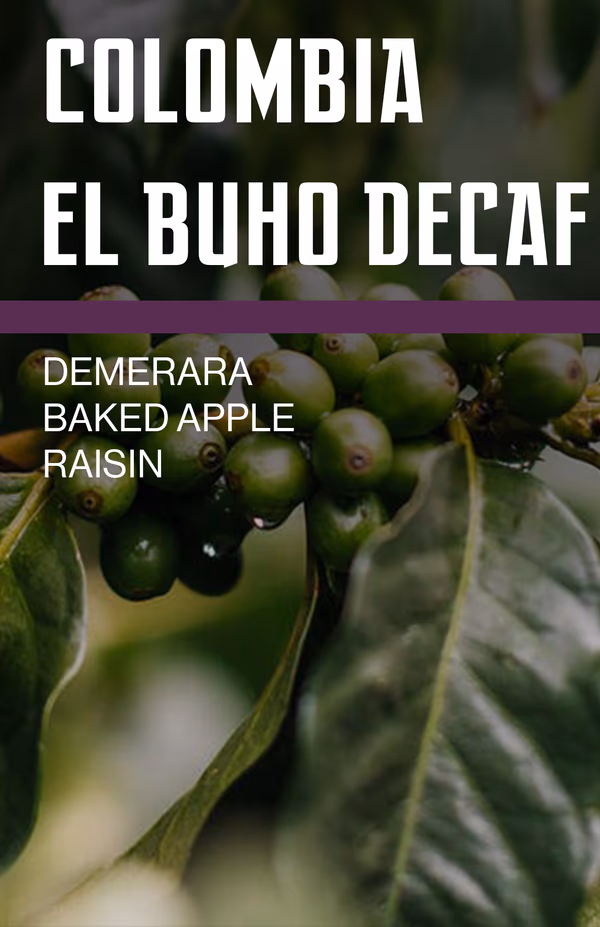 Colombia El Buho Sugarcane Decaff