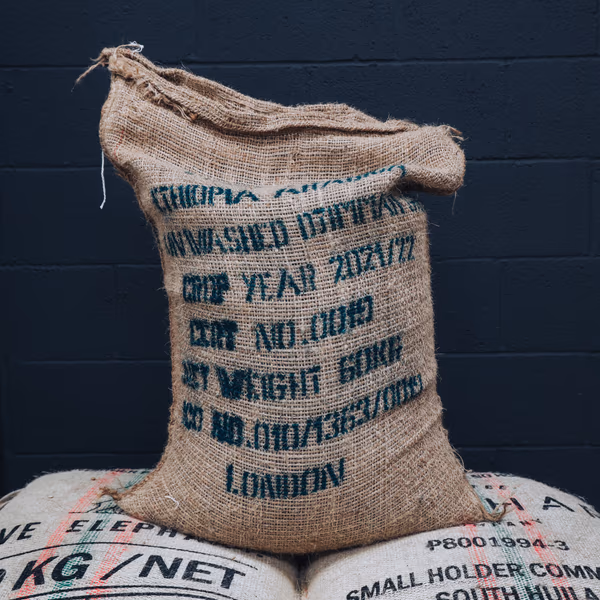 Ethiopian Mocha Djimma Green Coffee Beans