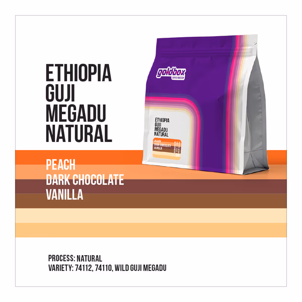 Ethiopia GUJI Megadu KickStart