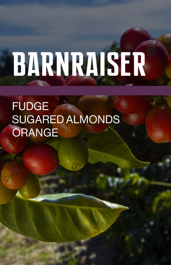 Barnraiser