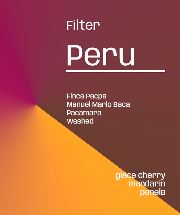 Peru Finca Pacpa - Filter